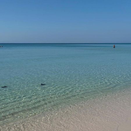 Majestic Sun 605B Apartment Destin Ngoại thất bức ảnh
